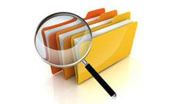 Company Searches